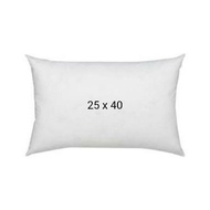 Cute pillow 25x40