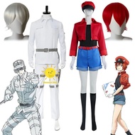 Anime Cells at Work Cosplay Costume Suit - Red & White Blood Cell Design, Halloween Carnivals Outfit