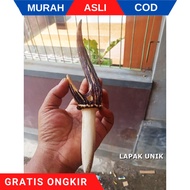 Pipa Roko Tanduk Rusa Cabang / Pipa Once Tannduk Rusa Super