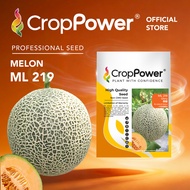 (100 SEEDS) Biji Benih Rock Melon Glory 荣耀 ML219 CROP POWER F1 HYBRID  Rock Melon Seed  蜜瓜种子 ML 219