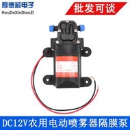 免運~DC12V農用電動噴霧器隔膜泵 家用自吸水泵 高壓澆水回流泵 DP-521~XS308