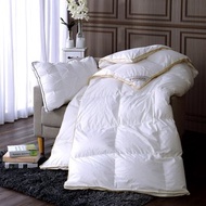 HOYACASA 90/10法國立體隔間羽絨被-單人/雙人