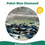UDANG HIAS AQUASCAPE PAKET INDUKAN BLUE DIAMOND 50 EKOR