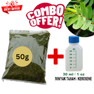 Daun Gelenggang | Herba Kampung | Panau / Kurap / Gatal / Kudis | Candle Plant | 作对面叶