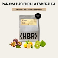 Panama Esmeralda Special Gesha - (Microlot Edition) | Coffee Bean | Light-Medium Roast