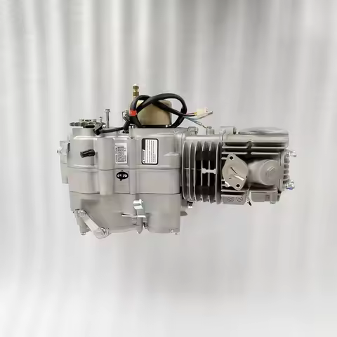 125cc Engine Zongshen 125CC Oil Cooled Motorcycle Engine for All Motorcycles, W125-G