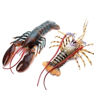 Simulation Large Size Boston Lobster Australian Lobster Children's Sea Animal Toy Cognitive Model Se