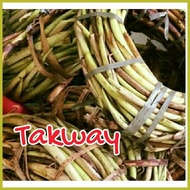 ✶ ❐ ┳ Takway, Taro Shoots(Daludal) long root of taro used as vegetables.