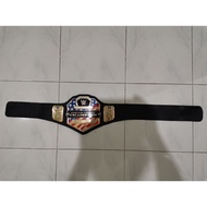 WWE UNITED STATES WRESTLING CHAMPIONSHIP TITLE BELT TOY BELT