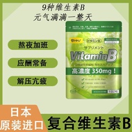 Japan HHJ High-Quality Vitamin B Enhance Metabolism Super Cost-Effective All 9 Types B Family Vitami