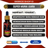 (BEBECE) Vitamin Burung Murai / Super Murai Juara / Doping Lomba Murai Batu / Obat Burung Murai Batu