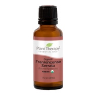 Plant Therapy Organic Frankincense Serrata Essential Oil, Franks Essential Oil, Frankincense Rivae E