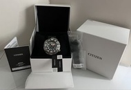 CITIZEN Promaster Professional Diver's 1000m 潛水錶