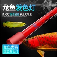 MAYIN arowana aquarium I-PLUS/UV/MAGIC/SUPER COLOUR/6700K/13000K/2700K 3FT 92CM / 4FT 112CM sabah sa