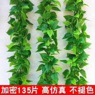 Simulation Glue Plastic Rattan Leaves Green Dill Leaves Decorative Plastic Plants Vines Green Leaves