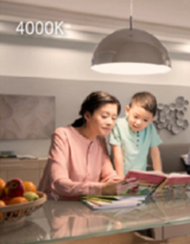 [ Bundle Sales ] *3pcs FSL PLL 55W 4pin Fluorescent Tube [3000K/4000K/6500K]