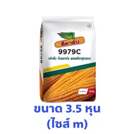 เมล็ดข้าวโพดดีคาล์บ 9979C น้ำหนัก 10 กิโลกรัม (3หุน/3.5หุน)