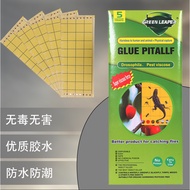 Adhesive Sticky Glue Trap Lizard Aphid Gecko Strong Boards for Pest Control Lizard Trap Buku Pelekat