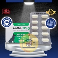 ECER ANTHEL DOG 1 Tablet (Blister) Obat Cacing Spektrum Luas Untuk ANJING by Kalbe | Harga 1 Tablet
