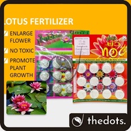 THAILAND FERTILIZER FOR LOTUS & WATER LILY ( 12 TABLETS ) BAJA TUMBUHAN AIR N-P-K 9-23-20