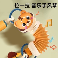 Baby Accordion Over 6 Months20251018