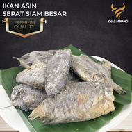 Ikan Asin Sepat Siam Besar 100gr Ikan Asin Sapek Siam Tawar Tembakang Termurah Tanpa Kepala Kering A