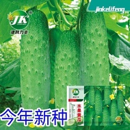 Fruit Fruit Cucumber Seeds Sweet Crispy Dry Cucumber Seeds Balcony Pastoral Spring Autumn Melon Frui