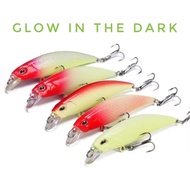 Minnow 6.5 cm 5 gram Duo Ryuki Glow in the dark/