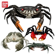 Crab Series Gashapon Toys King Crab Edible Crab Fiddler Crab Simulation Model Ornament Toys