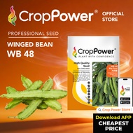 (200 GRAM) Biji Benih Kacang Botol Big Four 大四喜 WB48 CROP POWER Winged Bean seeds 四棱豆种子 WB 48