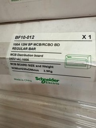 Schneider BF10-012 單相 100A 12位 MCB箱