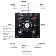 【SFF】-Dual Microphone Karaoke Machine Bluetooth 5.0 Sound Power Amplifier Integrated Amp & U-Disk Pl