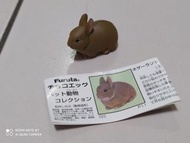 海洋堂 Furuta巧克力蛋日本寵物動物第一彈 023 侏儒兔茶色