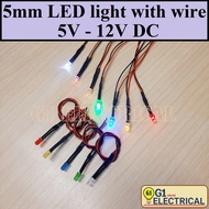 5mm Light Emitting Diode (LED) with wire/ LED Indicator light 5V – 12V DC 12V DC LED Light