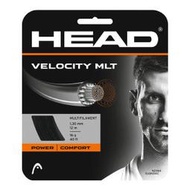 【威盛國際】 HEAD 網球線 Velocity MLT 半羊腸線 仿腸線