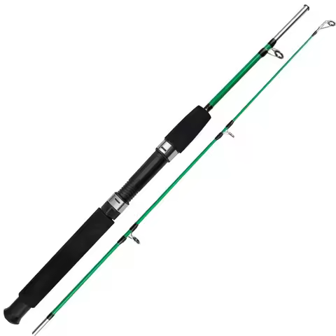 2025 1.0m Length Spinning Rod 107g Lure Weight 2 Sections Fishing Rod Carbon Travel Fishing Tackle T