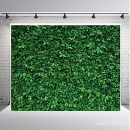 Photography Cloth 2026 Background Photo Studio Background New Style Venue Leaves ebay3d Photography 