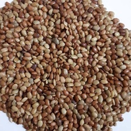 Horse Gram - Kollu 250g