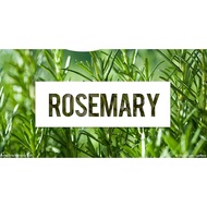 Rosemary Leaves 100g (Rosemary)