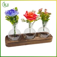 [Wishshopeelxl] Plant Vases Glass Planter for Garden Plant Cutting