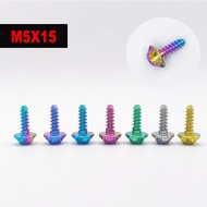 GR5 Titanium M4X15 M5X15 M5X20 Self Tapping Screws for M4 M5 Motorcycle Body Screw