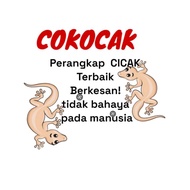 COKOCAK / Ubat Cicak / Ubat perangkap Cicak