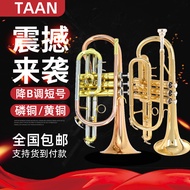 แท้ TAAN ขนาดสั้น French Horn Instrument วัสดุทองเหลืองสําหรับผู้เริ่มต้นและนักเรียน เหมาะสําหรับการ