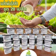 เมล็ดพันธุ์ผักสลัด นำเข้า [RIJK ZWAAN] แบบแบ่งขาย 20  เมล็ด