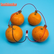 FASHIONKA Fruit Battery Science Experiment Kit, STEM Experiment Kit Bio Energy Electricity Experimen