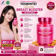 BPOM QUEEN FIT BREAST ENLARGER FEMALE SUPPLEMENT HORMONE ESTROGEN 30 CAPSULES