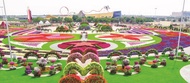 Dubai Flora and Fauna 5 Hour Tour