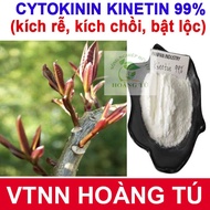 Cytokinin 99% - Kinetin - Super bud stimulation, bud burst