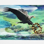 3 D Animal Picture Different Angle Different Scenery Changing Animal Picture