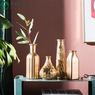 CHLIZ Gold Glass Vase Creative Ornaments Modern Flower Bottle